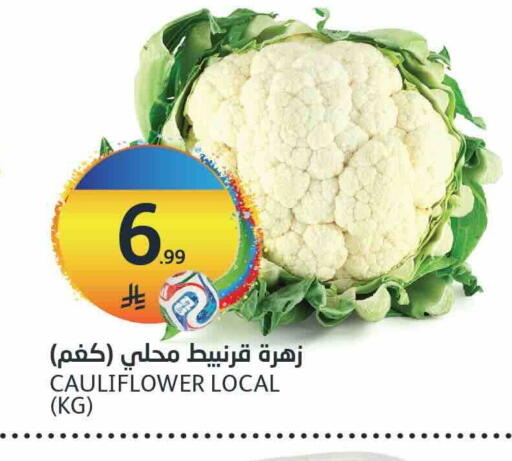 Cauliflower available at مركز الجزيرة للتسوق in مملكة العربية السعودية, السعودية, سعودية - الرياض