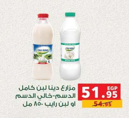 available at بنده in Egypt - القاهرة