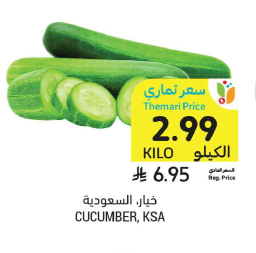 Cucumber available at أسواق التميمي in مملكة العربية السعودية, السعودية, سعودية - المدينة المنورة
