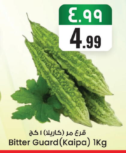 available at ستي فلاور in مملكة العربية السعودية, السعودية, سعودية - الجبيل‎