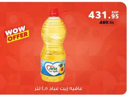 available at بنده in Egypt - القاهرة