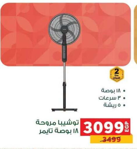 available at Panda  in Egypt - Cairo