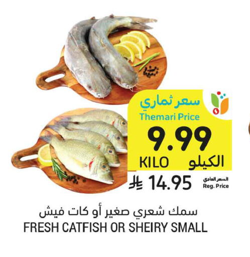 available at Tamimi Market in KSA, Saudi Arabia, Saudi - Ar Rass