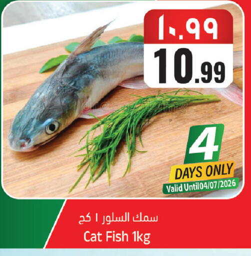 available at City Flower in KSA, Saudi Arabia, Saudi - Sakaka