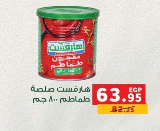 available at بنده in Egypt - القاهرة