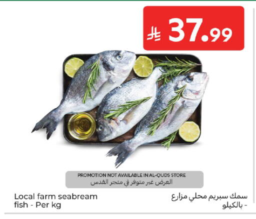 available at كارفور in مملكة العربية السعودية, السعودية, سعودية - المدينة المنورة