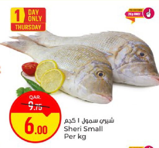available at باريس هايبرماركت in قطر - الريان