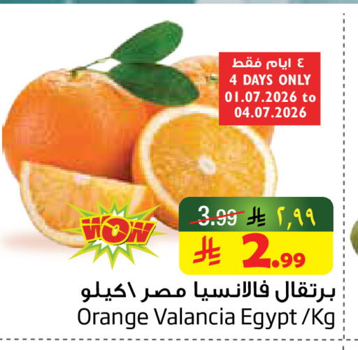 Orange from Valancia Egypt available at ليان هايبر in مملكة العربية السعودية, السعودية, سعودية - المنطقة الشرقية