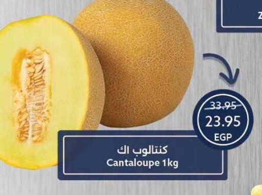 Cantaloupe available at Oscar Grand Stores  in Egypt - Cairo