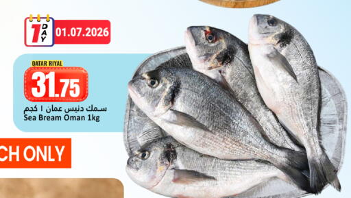 available at دانة هايبرماركت in قطر - الوكرة