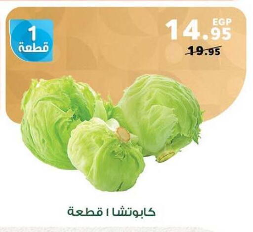 available at بنده in Egypt - القاهرة