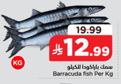 available at نستو in مملكة العربية السعودية, السعودية, سعودية - الخبر‎