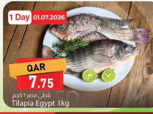 available at دانا ماركت in قطر - الوكرة
