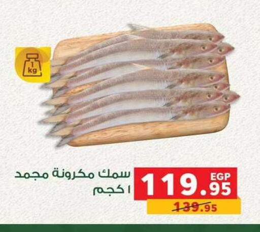 available at بنده in Egypt - القاهرة