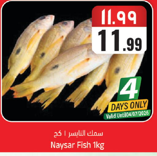available at City Flower in KSA, Saudi Arabia, Saudi - Sakaka