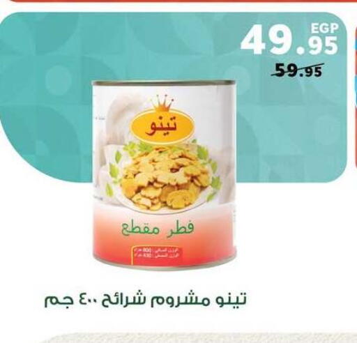 available at بنده in Egypt - القاهرة