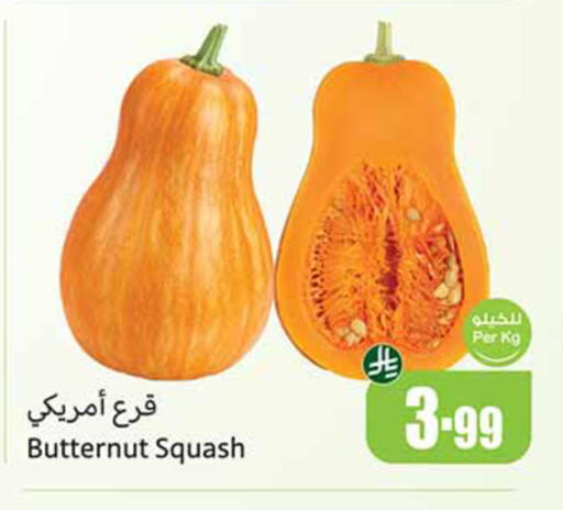 Squash available at أسواق عبد الله العثيم in مملكة العربية السعودية, السعودية, سعودية - المدينة المنورة