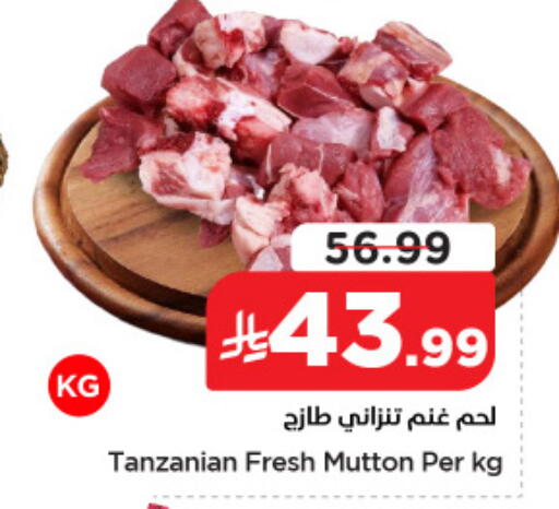 available at نستو in مملكة العربية السعودية, السعودية, سعودية - الجبيل‎