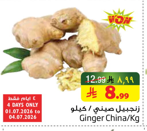 Ginger from China available at ليان هايبر in مملكة العربية السعودية, السعودية, سعودية - المنطقة الشرقية