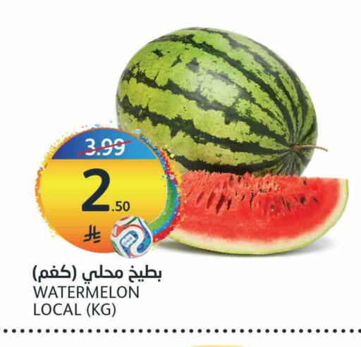 Watermelon available at مركز الجزيرة للتسوق in مملكة العربية السعودية, السعودية, سعودية - الرياض