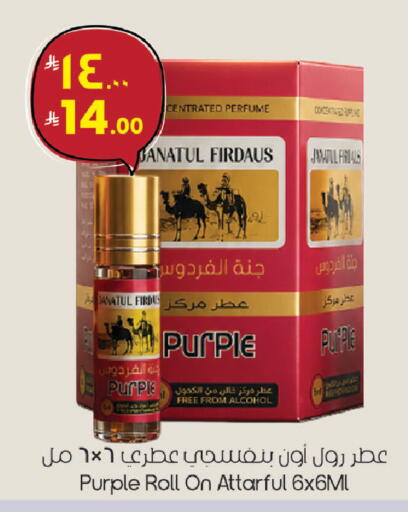 available at ستي فلاور in مملكة العربية السعودية, السعودية, سعودية - الجبيل‎