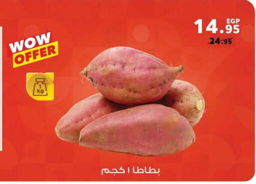 available at بنده in Egypt - القاهرة