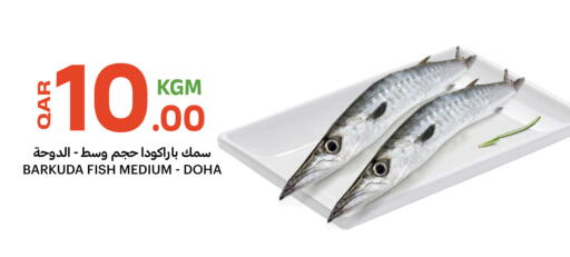 available at البلدي اليوم in قطر - الوكرة