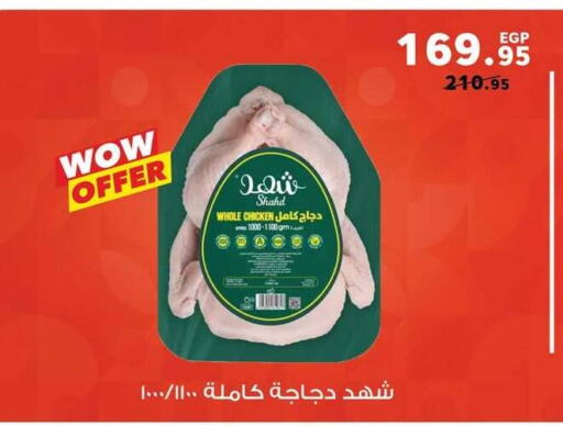 available at بنده in Egypt - القاهرة
