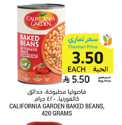 Tomato available at Tamimi Market in KSA, Saudi Arabia, Saudi - Ar Rass