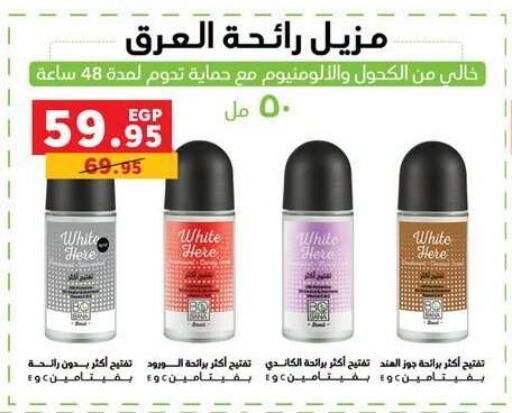 available at بنده in Egypt - القاهرة