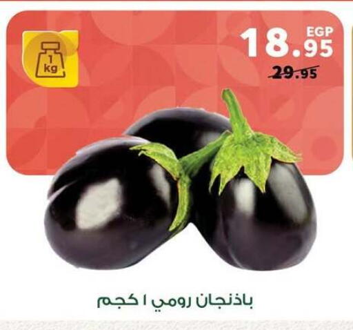 available at بنده in Egypt - القاهرة