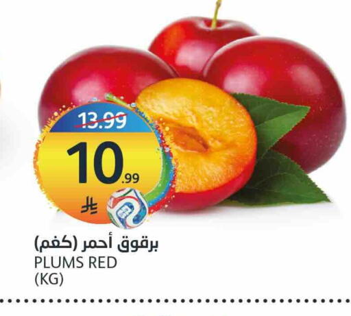 Plums available at مركز الجزيرة للتسوق in مملكة العربية السعودية, السعودية, سعودية - الرياض