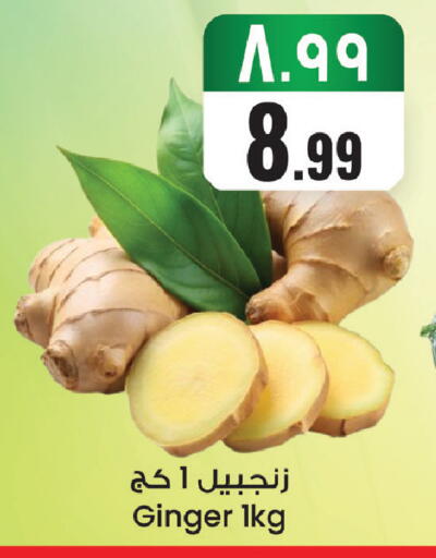 Ginger available at ستي فلاور in مملكة العربية السعودية, السعودية, سعودية - الجبيل‎