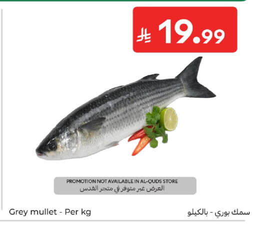 available at كارفور in مملكة العربية السعودية, السعودية, سعودية - المدينة المنورة