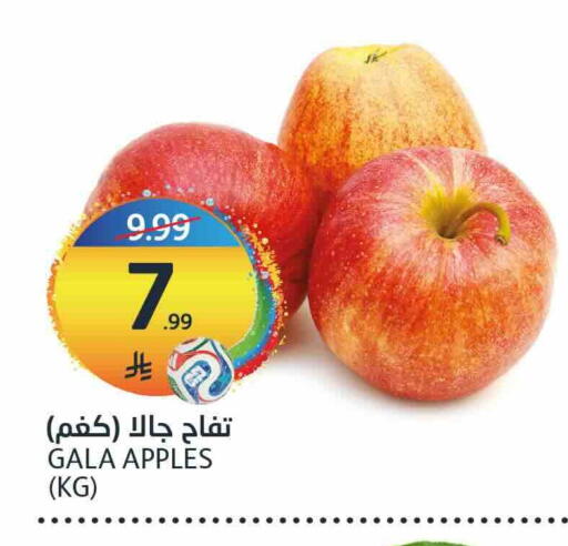 available at مركز الجزيرة للتسوق in مملكة العربية السعودية, السعودية, سعودية - الرياض