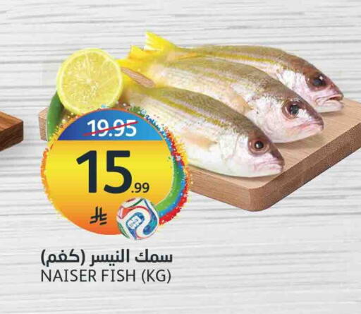 available at مركز الجزيرة للتسوق in مملكة العربية السعودية, السعودية, سعودية - الرياض