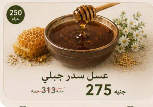 available at بنده in Egypt - القاهرة