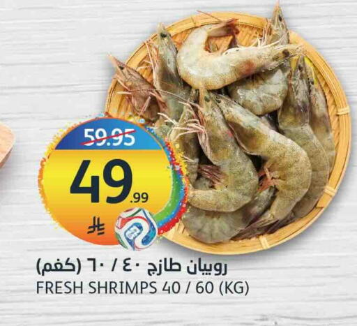 available at مركز الجزيرة للتسوق in مملكة العربية السعودية, السعودية, سعودية - الرياض