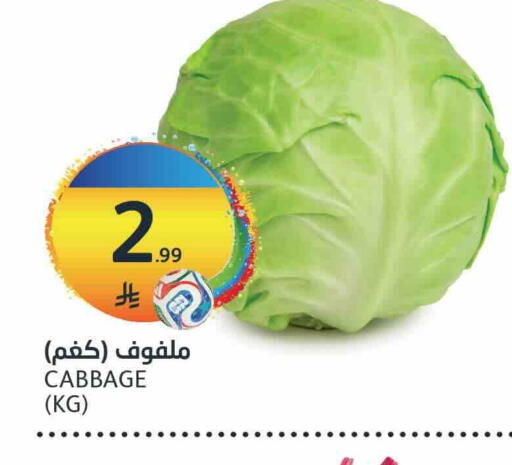 Cabbage available at مركز الجزيرة للتسوق in مملكة العربية السعودية, السعودية, سعودية - الرياض