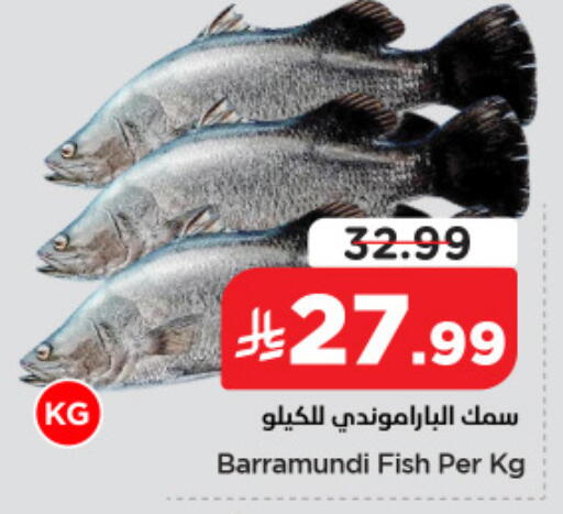available at نستو in مملكة العربية السعودية, السعودية, سعودية - الخبر‎