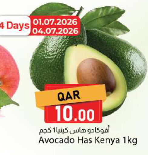 Avocado from Kenya available at دانا ماركت in قطر - الوكرة
