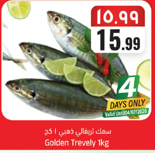 available at ستي فلاور in مملكة العربية السعودية, السعودية, سعودية - الجبيل‎
