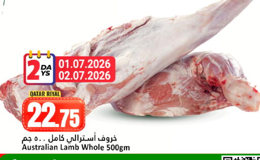available at دانة هايبرماركت in قطر - الوكرة
