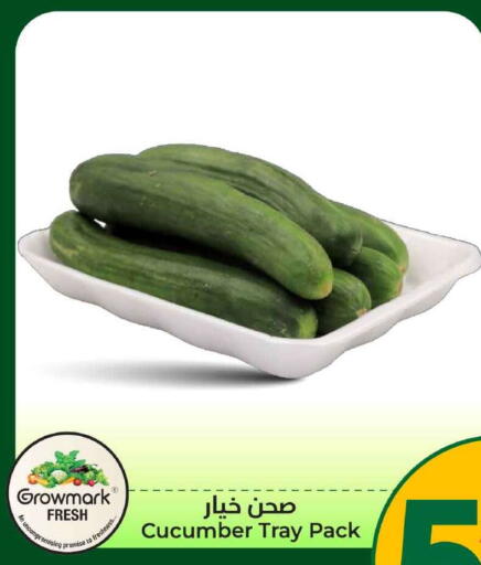 Cucumber available at هايبر الوفاء in مملكة العربية السعودية, السعودية, سعودية - الخرج