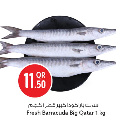 available at سفاري هايبر ماركت in قطر - الدوحة