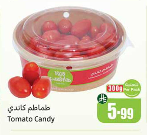 Tomato available at أسواق عبد الله العثيم in مملكة العربية السعودية, السعودية, سعودية - المدينة المنورة
