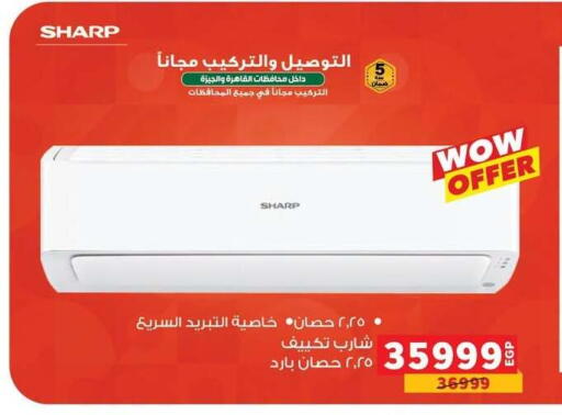 available at Panda  in Egypt - Cairo