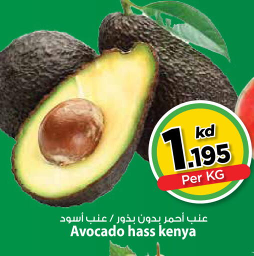 Avocado from Kenya available at مارك & سايف in الكويت - محافظة الأحمدي