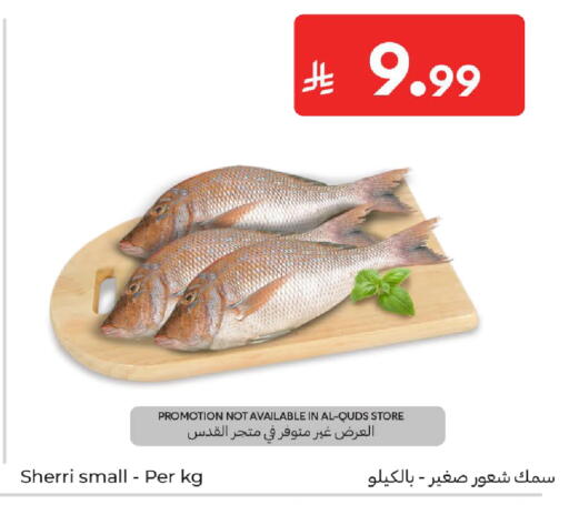 available at كارفور in مملكة العربية السعودية, السعودية, سعودية - المدينة المنورة