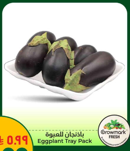 Eggplant available at هايبر الوفاء in مملكة العربية السعودية, السعودية, سعودية - الخرج